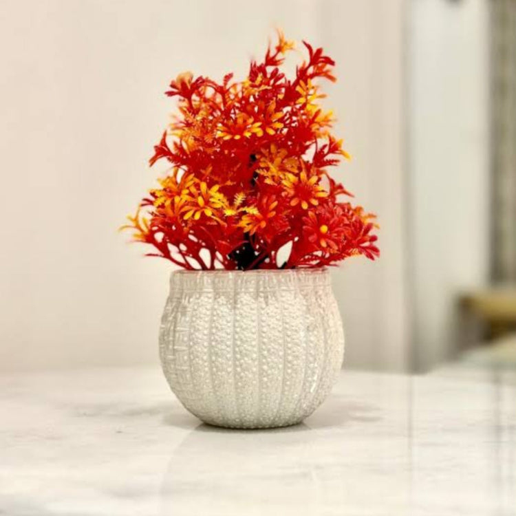 Beautiful Orange Plant