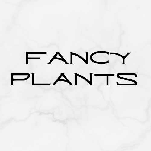 Fancy Plants