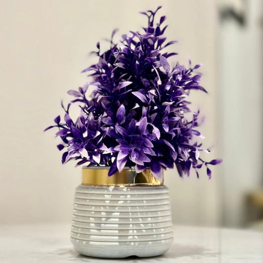 Purple Beautiful Plant